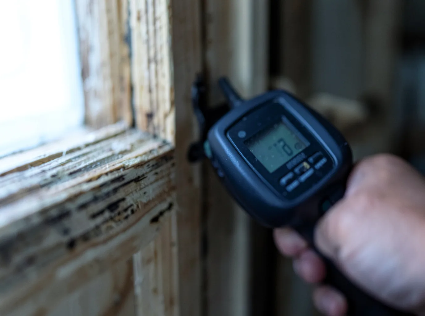 Moisture Inspection And Documentation in Evansdale, IA